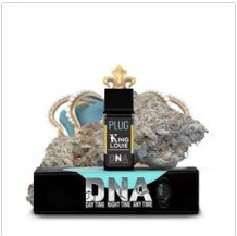 PNP | KING LOUIE (I) | 1G DNA POD
