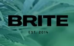 BRITE | ROSE GOLD (I) | 1G SUGAR