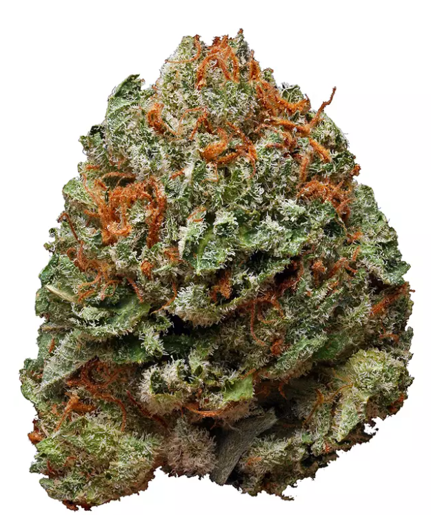 Apollo - Bubba Kush - 3.5G
