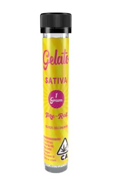 GELATO | WATERMELON (I) | INFUSED 5PK