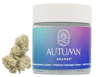 AUTUMN BRANDS | PURPLE PUSH POP (I) | 3.5G