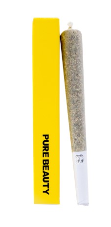 PURE BEAUTY | NEW JACK CITY (S) | 1G PRE ROLL