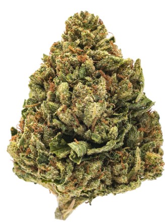 SFV OG