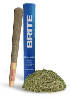 BRITE | CEREAL MILK (H) | 1G PREROLL