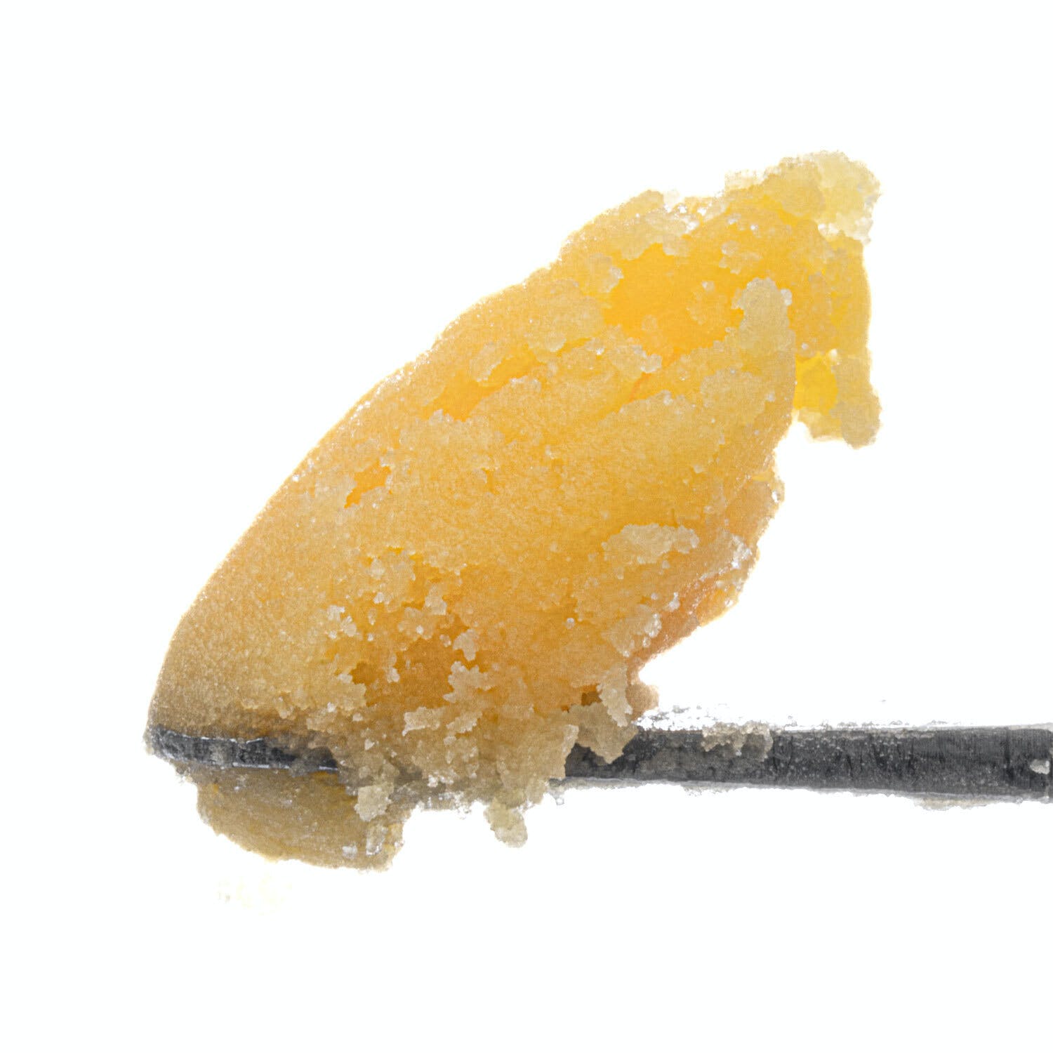WCC | CHERRYLICIOUS  (H) | 1G LR BADDER